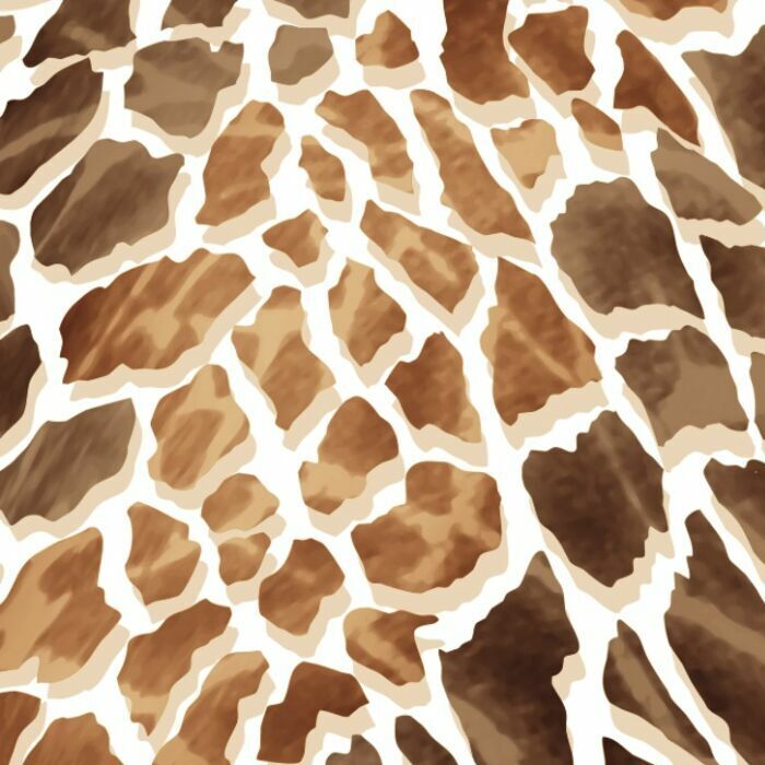40081  Giraffon