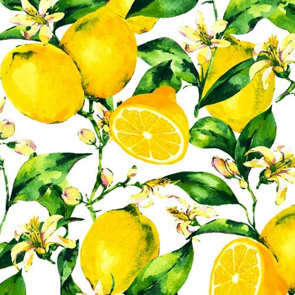 40414  Lemon  Tree  Medium