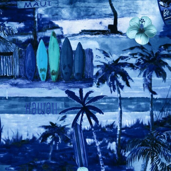 40897 Surfers Beach S