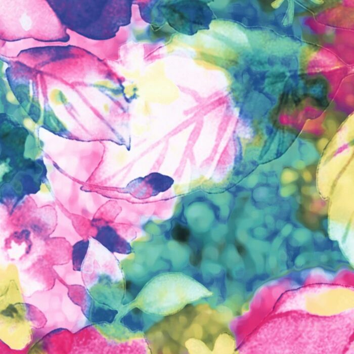 54563  Dramatic  Rose