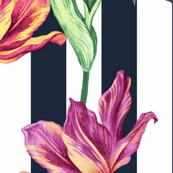 55621  Rembrandt  Tulip