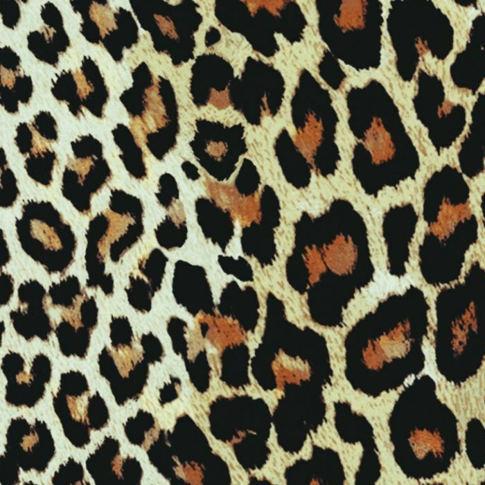 97693  Leo  Skin