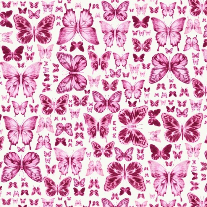97798  Butterfly  Coll  Small
