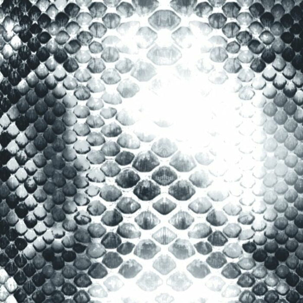 98238  New  Anaconda