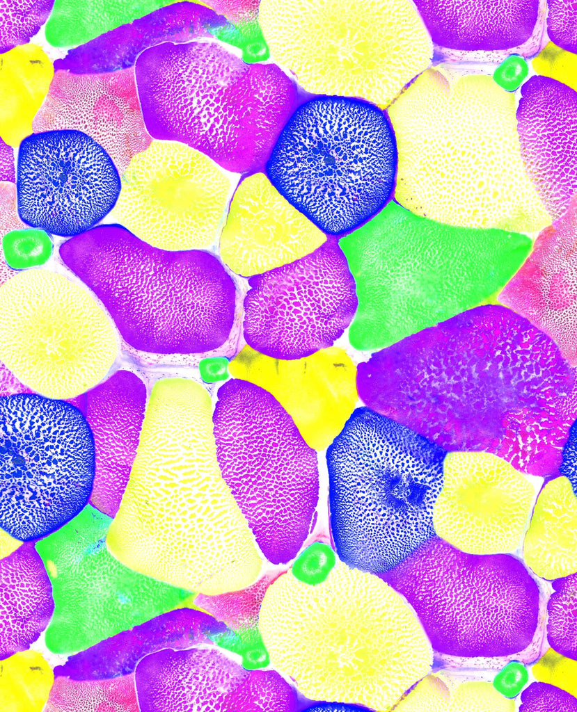 HTWCK039B-05 Spandex, Wet Print- Spandexbyyard - fabrics, fabric for swimwear, fabric for yogawear, swimwear fabric, yogawear fabric, fabric sublimation, sublimation fabric, los angeles, california, usa, spandex, sale, swimwear, yoga wear, lycra, shiny, neon, printed, fabric by the yard, spandex lycra, nylon lycra, lycra fabric