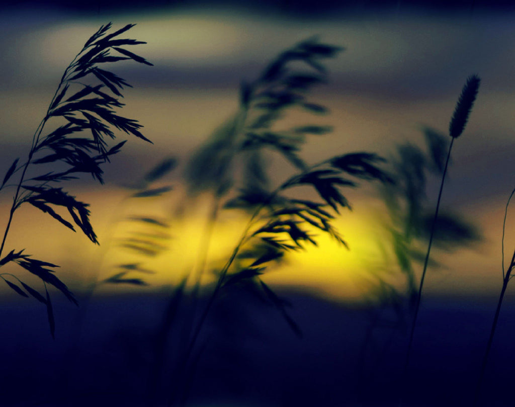 LSH128A Spandex, Wet Print- Spandexbyyard - fabrics, fabric for swimwear, fabric for yogawear, swimwear fabric, yogawear fabric, fabric sublimation, sublimation fabric, los angeles, california, usa, spandex, sale, swimwear, yoga wear, lycra, shiny, neon, printed, fabric by the yard, spandex lycra, nylon lycra, lycra fabric