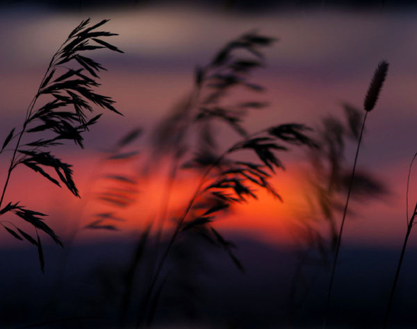 LSH128B Spandex, Wet Print- Spandexbyyard - fabrics, fabric for swimwear, fabric for yogawear, swimwear fabric, yogawear fabric, fabric sublimation, sublimation fabric, los angeles, california, usa, spandex, sale, swimwear, yoga wear, lycra, shiny, neon, printed, fabric by the yard, spandex lycra, nylon lycra, lycra fabric