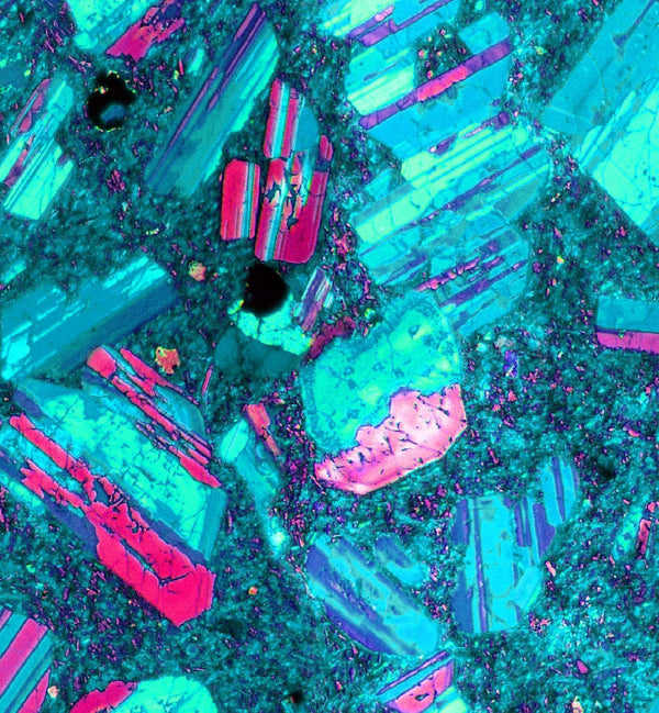 LSH172B Spandex, Wet Print- Spandexbyyard - fabrics, fabric for swimwear, fabric for yogawear, swimwear fabric, yogawear fabric, fabric sublimation, sublimation fabric, los angeles, california, usa, spandex, sale, swimwear, yoga wear, lycra, shiny, neon, printed, fabric by the yard, spandex lycra, nylon lycra, lycra fabric