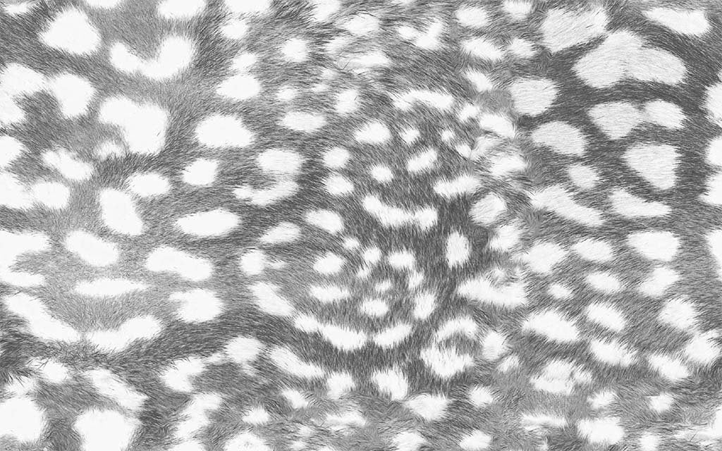 SMY372B Spandex, Wet Print- Spandexbyyard - fabrics, fabric for swimwear, fabric for yogawear, swimwear fabric, yogawear fabric, fabric sublimation, sublimation fabric, los angeles, california, usa, spandex, sale, swimwear, yoga wear, lycra, shiny, neon, printed, fabric by the yard, spandex lycra, nylon lycra, lycra fabric