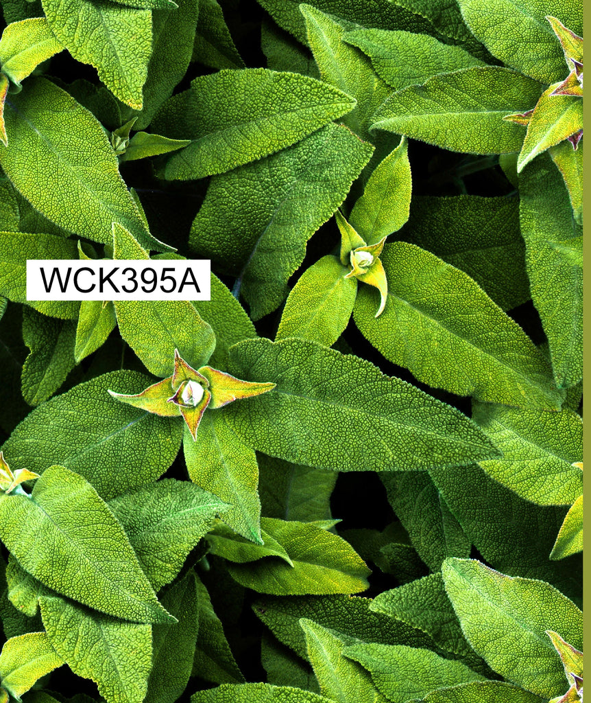 WCK395A Spandex, Wet Print- Spandexbyyard - fabrics, fabric for swimwear, fabric for yogawear, swimwear fabric, yogawear fabric, fabric sublimation, sublimation fabric, los angeles, california, usa, spandex, sale, swimwear, yoga wear, lycra, shiny, neon, printed, fabric by the yard, spandex lycra, nylon lycra, lycra fabric