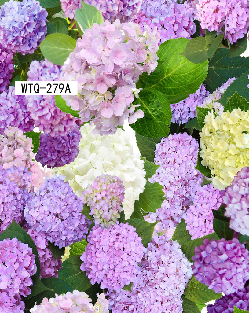 WTQ-279A Spandex, Wet Print- Spandexbyyard - fabrics, fabric for swimwear, fabric for yogawear, swimwear fabric, yogawear fabric, fabric sublimation, sublimation fabric, los angeles, california, usa, spandex, sale, swimwear, yoga wear, lycra, shiny, neon, printed, fabric by the yard, spandex lycra, nylon lycra, lycra fabric