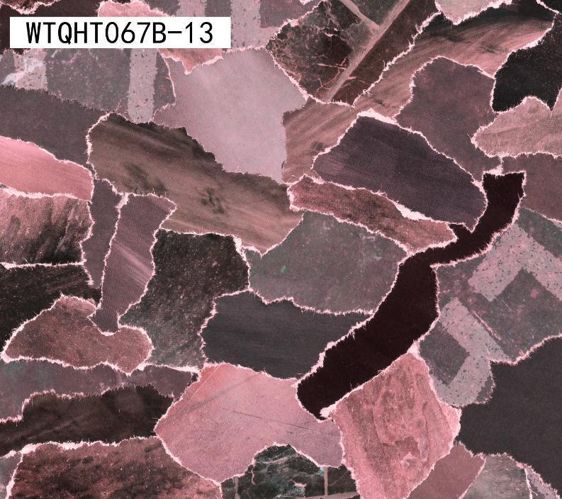 WTQHT067B-13 Spandex, Wet Print- Spandexbyyard - fabrics, fabric for swimwear, fabric for yogawear, swimwear fabric, yogawear fabric, fabric sublimation, sublimation fabric, los angeles, california, usa, spandex, sale, swimwear, yoga wear, lycra, shiny, neon, printed, fabric by the yard, spandex lycra, nylon lycra, lycra fabric