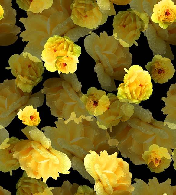 ZXY322A Spandex, Wet Print- Spandexbyyard - fabrics, fabric for swimwear, fabric for yogawear, swimwear fabric, yogawear fabric, fabric sublimation, sublimation fabric, los angeles, california, usa, spandex, sale, swimwear, yoga wear, lycra, shiny, neon, printed, fabric by the yard, spandex lycra, nylon lycra, lycra fabric