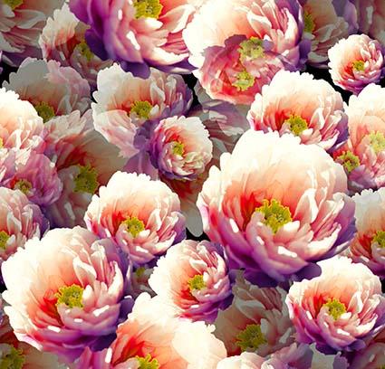 ZXY323A Spandex, Wet Print- Spandexbyyard - fabrics, fabric for swimwear, fabric for yogawear, swimwear fabric, yogawear fabric, fabric sublimation, sublimation fabric, los angeles, california, usa, spandex, sale, swimwear, yoga wear, lycra, shiny, neon, printed, fabric by the yard, spandex lycra, nylon lycra, lycra fabric