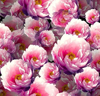 ZXY323B Spandex, Wet Print- Spandexbyyard - fabrics, fabric for swimwear, fabric for yogawear, swimwear fabric, yogawear fabric, fabric sublimation, sublimation fabric, los angeles, california, usa, spandex, sale, swimwear, yoga wear, lycra, shiny, neon, printed, fabric by the yard, spandex lycra, nylon lycra, lycra fabric