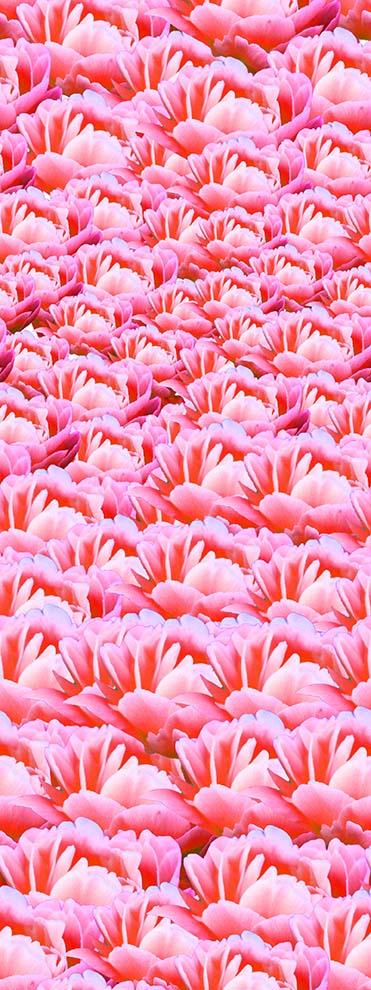 ZXY325A Spandex, Wet Print- Spandexbyyard - fabrics, fabric for swimwear, fabric for yogawear, swimwear fabric, yogawear fabric, fabric sublimation, sublimation fabric, los angeles, california, usa, spandex, sale, swimwear, yoga wear, lycra, shiny, neon, printed, fabric by the yard, spandex lycra, nylon lycra, lycra fabric