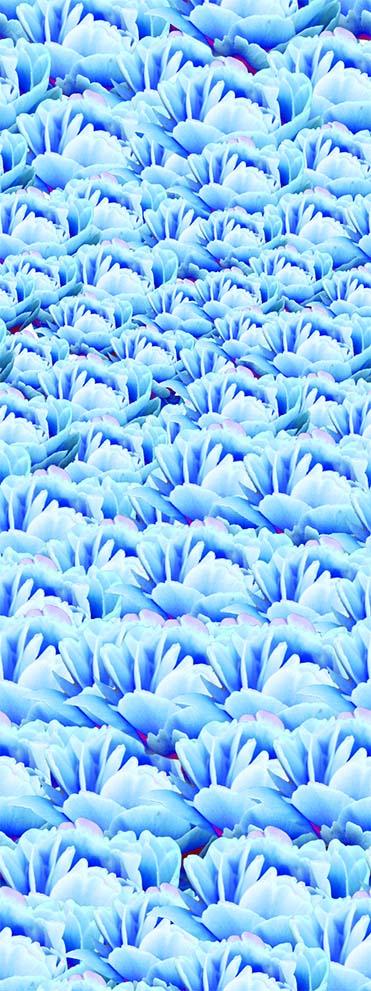 ZXY325B Spandex, Wet Print- Spandexbyyard - fabrics, fabric for swimwear, fabric for yogawear, swimwear fabric, yogawear fabric, fabric sublimation, sublimation fabric, los angeles, california, usa, spandex, sale, swimwear, yoga wear, lycra, shiny, neon, printed, fabric by the yard, spandex lycra, nylon lycra, lycra fabric