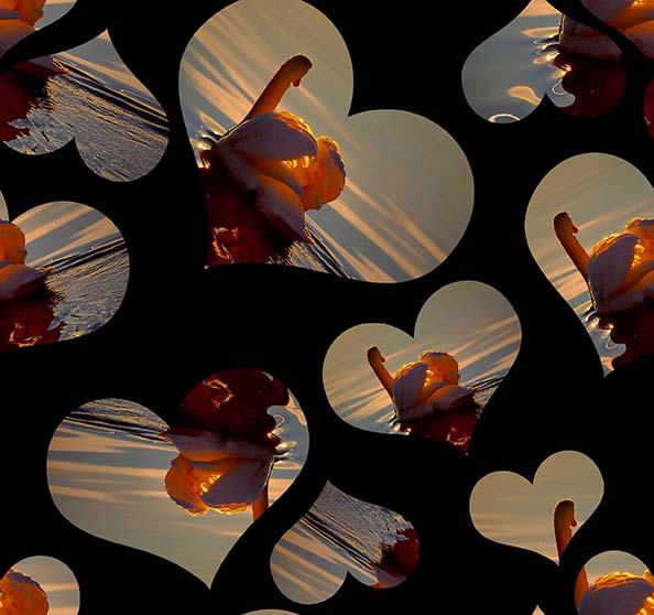 ZXY342B Spandex, Wet Print- Spandexbyyard - fabrics, fabric for swimwear, fabric for yogawear, swimwear fabric, yogawear fabric, fabric sublimation, sublimation fabric, los angeles, california, usa, spandex, sale, swimwear, yoga wear, lycra, shiny, neon, printed, fabric by the yard, spandex lycra, nylon lycra, lycra fabric