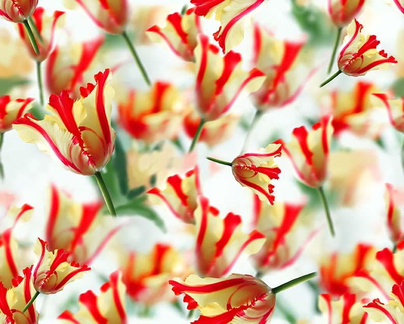 ZXY346B Spandex, Wet Print- Spandexbyyard - fabrics, fabric for swimwear, fabric for yogawear, swimwear fabric, yogawear fabric, fabric sublimation, sublimation fabric, los angeles, california, usa, spandex, sale, swimwear, yoga wear, lycra, shiny, neon, printed, fabric by the yard, spandex lycra, nylon lycra, lycra fabric