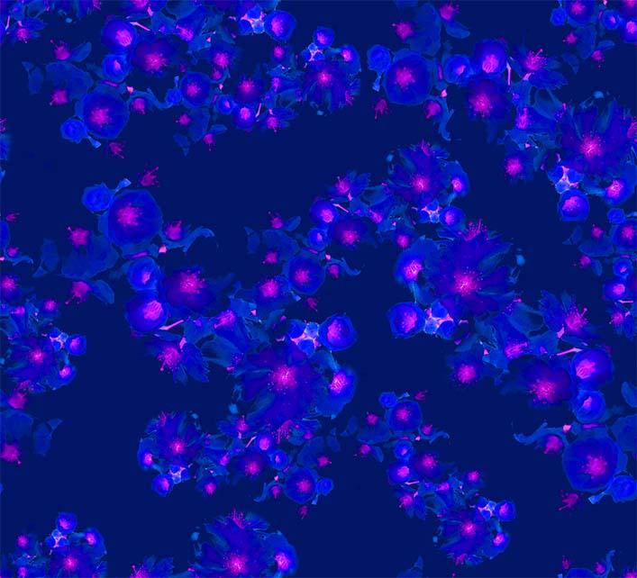 ZXY347A Spandex, Wet Print- Spandexbyyard - fabrics, fabric for swimwear, fabric for yogawear, swimwear fabric, yogawear fabric, fabric sublimation, sublimation fabric, los angeles, california, usa, spandex, sale, swimwear, yoga wear, lycra, shiny, neon, printed, fabric by the yard, spandex lycra, nylon lycra, lycra fabric