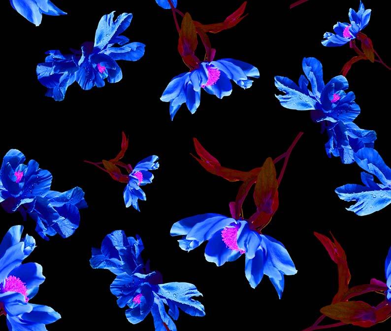 ZXY349A Spandex, Wet Print- Spandexbyyard - fabrics, fabric for swimwear, fabric for yogawear, swimwear fabric, yogawear fabric, fabric sublimation, sublimation fabric, los angeles, california, usa, spandex, sale, swimwear, yoga wear, lycra, shiny, neon, printed, fabric by the yard, spandex lycra, nylon lycra, lycra fabric